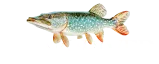 LongRiver